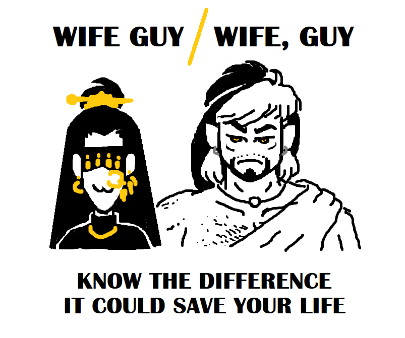 A shakily-drawn MS Paint image of the main characters from The Priestwife webcomic, shown from the shoulders up. It reads: Wife Guy / Wife, Guy // Know the difference, it could save your life